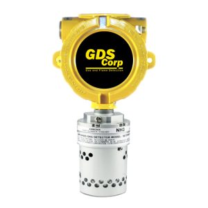 GDS-IR2