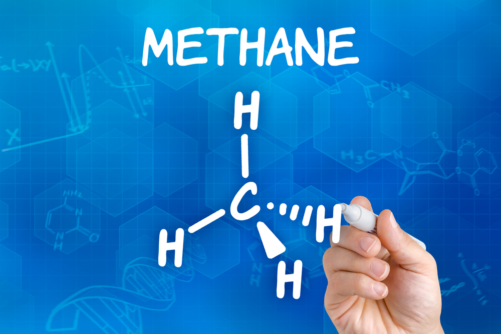 Using a Catalytic Bead Sensor to Detect Methane Gas