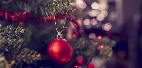 Happy Holidays from GDS Corporation!
